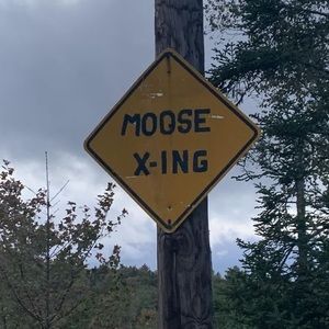 Meet your Posher, Nate